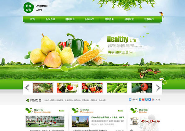 重庆高端网站建设 重庆高端网站建设