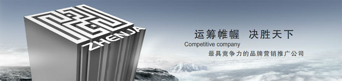 重庆网站建设公司 重庆网站建设公司