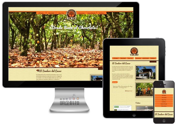 重庆网站建设公司