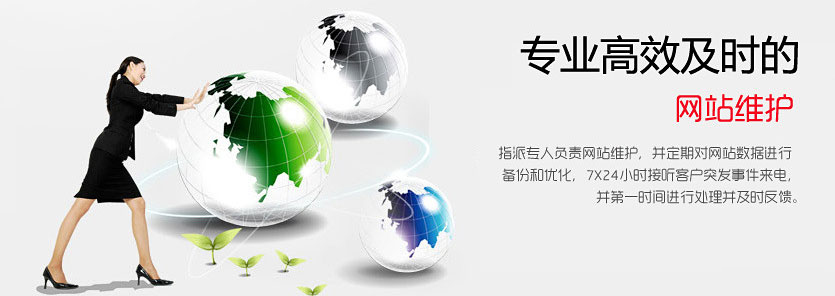 网站维护安菲科技