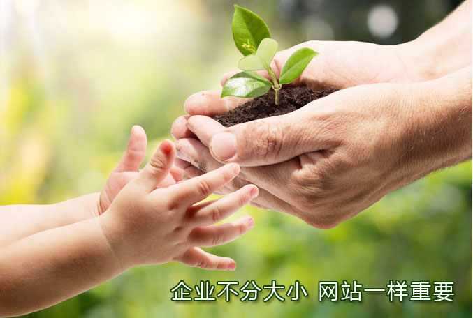 重庆企业网站建设安菲