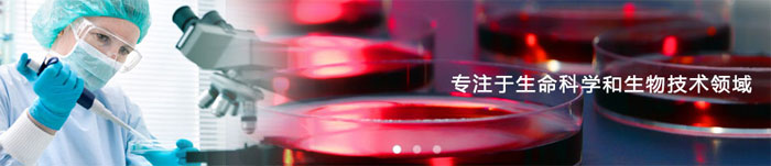 闵行网站制作公司安菲