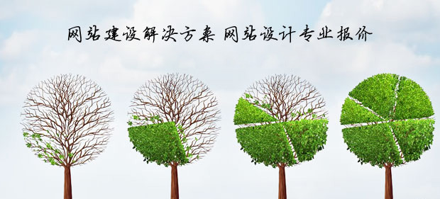 闵行做网站安菲