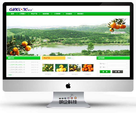 松江网站建设安菲