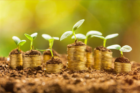 网站制作要充分利用反差效果设计