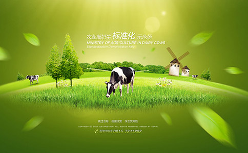 重庆网站制作公司引导页制作方法 重庆网站制作公司引导页制作方法