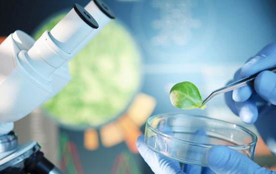 重庆做网站公司关于生物网站案例