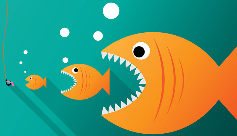 关键字蚕食如何影响我的SEO策略 关键字蚕食如何影响我的SEO策略